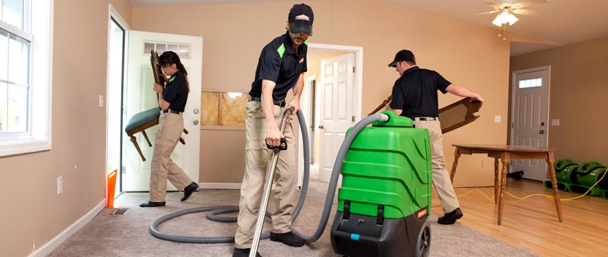 Los Angeles, CA cleaning services